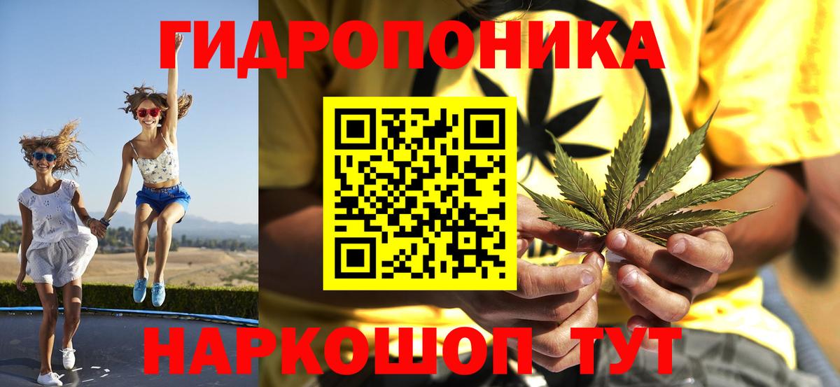 Конопля гибрид Городец